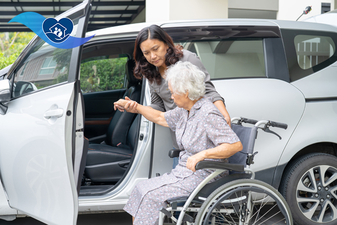 Enhancing Your Home Environment, Elevating Your Quality of Life