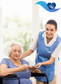 Home Help and Housekeeping